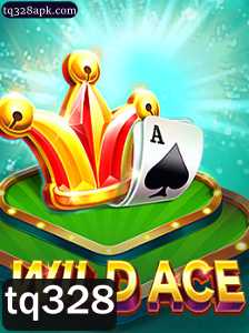 Explorando o Mundo de WildAce: Um Jogo Empolgante com regras únicas